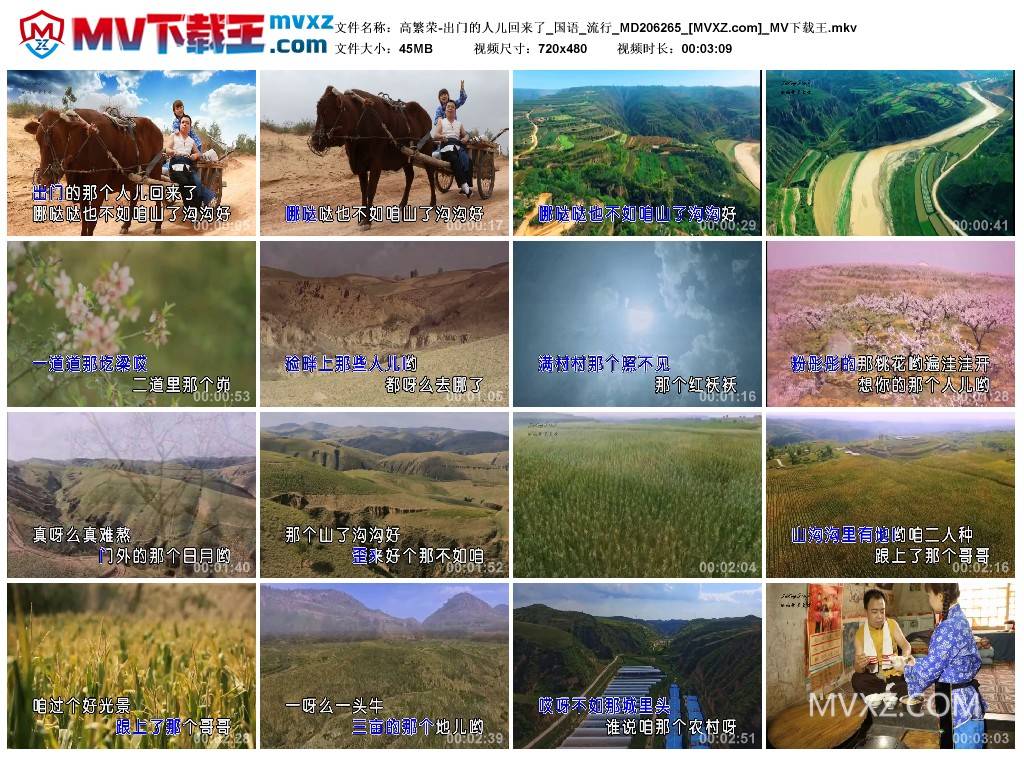 高繁荣-出门的人儿回来了_国语_流行_MD206265